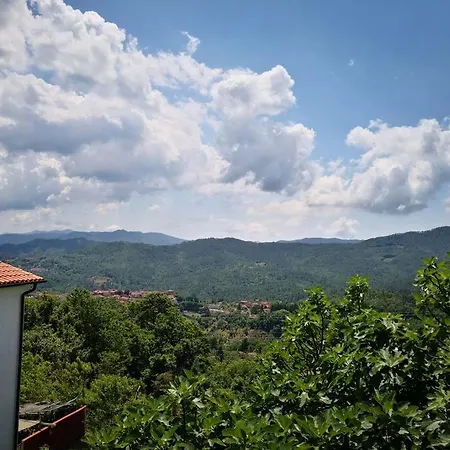 Casa vacanze Casa La Rondine. Un Panorama Sospeso Sulla Natura *