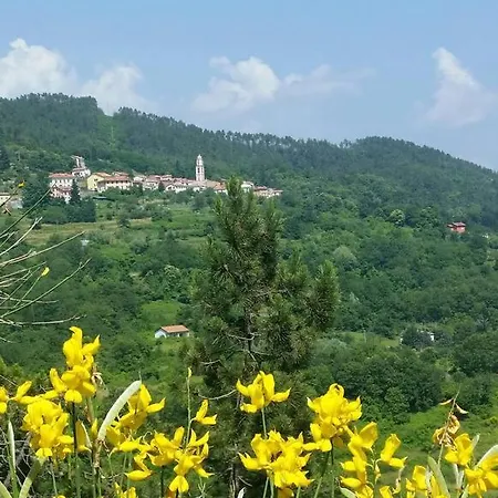 Casa La Rondine. Un Panorama Sospeso Sulla Natura